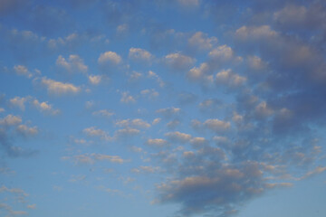 Altocumulus clouds high on blue sky at twilight