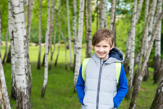 portrait of a child in a birch forest