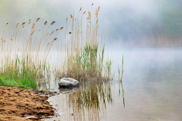 Morning fog lifting over a wetland pond