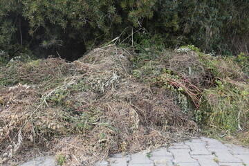 Pruning in the garden waste. Pile of garden waste. 
