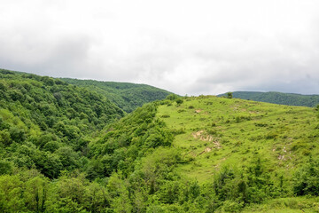 Fototapeta premium Alpine meadows, foggy mountains at Abkhazia (Kodori Gorge)