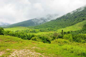 Alpine meadows, foggy mountains at Abkhazia (Kodori Gorge)