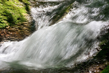 Obraz premium Small mountain creek with waterfall at the Abkhazian forest, Kodori gorge