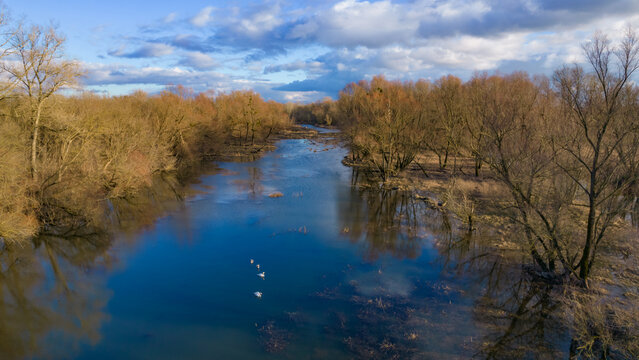 reflection of trees in the water, swans, Kępa Dzikowska © Krystian