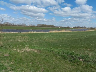 The bank of the Warta river 