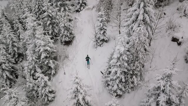 Drone Of Man Ski Touring Uphill Through Snow Covered Forest