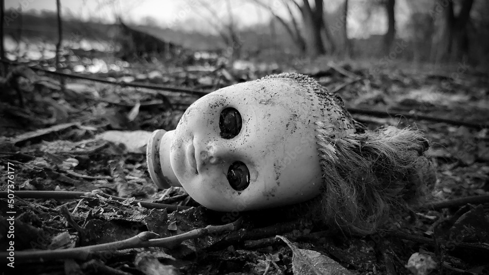 Wall mural The severed head of the doll lies in the mud on the river bank.