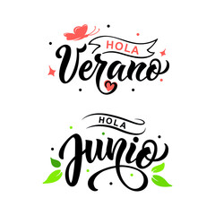 Hola Verano -Hello Summer in Spanish handwritten text, modern brush calligraphy lettering typography. Summer postcard, invitation, flyer, poster, logo. Vector illustration isolated on white background © Елена Тагильцева