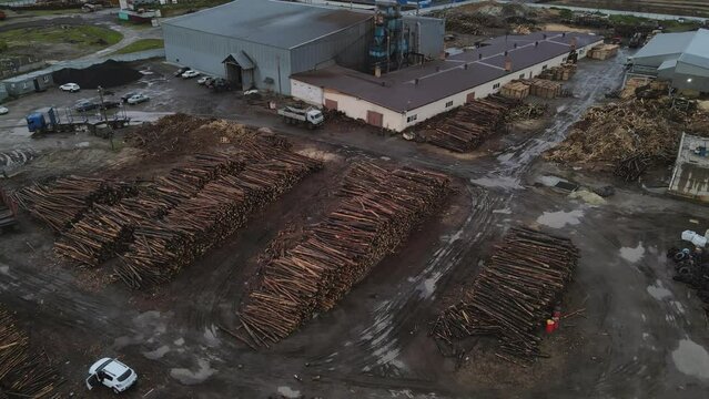 drone flies over a large sawmill with many logs. 4k drone footage