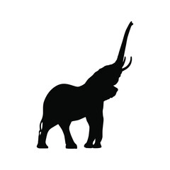 A collection of silhouettes of African animals. Giraffe, elephant, antelope, rhino, camel, leopard, gazelle, mountain goat, leopard. Vector illustration.