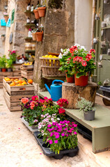 Flower shop. Multi-colored flowers in pots and a watering bottle near a showcase in a store
