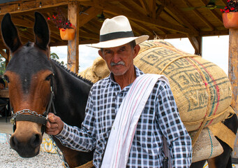 hombre mayor, antioqueño con una mula al lado 