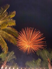 fireworks over the river