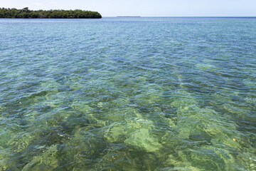 Corals seen from the ocean surface