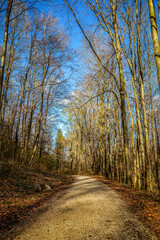 Im Autal bei Bad Überkingen