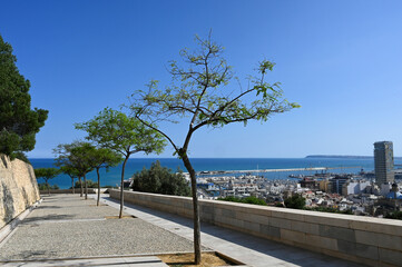 View of Alicante from Santa Barbara Castle, Costa Blanca, Spain