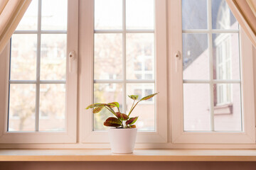 Fototapeta premium Closeup of a domestic window