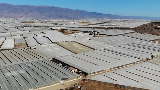 Aerial View Of A Large Area Of Greenhouses With Mountains In The Distance