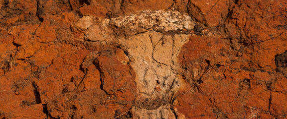 Sedimentary rocks with a high content of iron oxide. Red soil, loam. The texture of the soil.