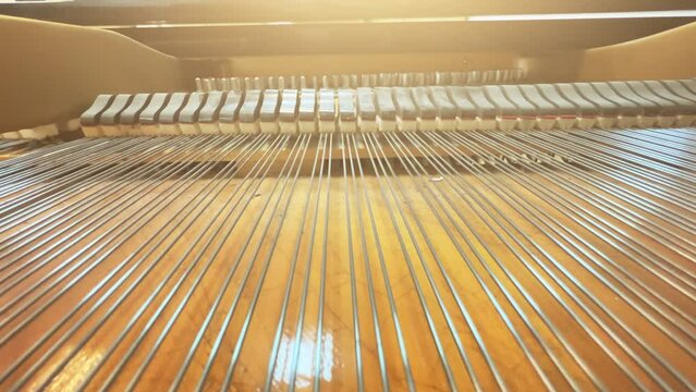Opened grand piano close up. Soundboard with stretched strings. Extreme close-up shot