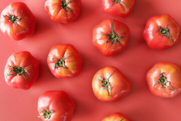 かわいいトマトのフレーム素材（シンプル赤背景）