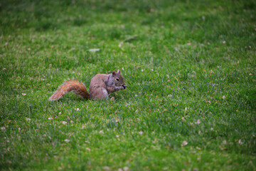 A view of Boston through the eyes of an professional environmental scientist with limited photography experience. 