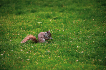 A view of Boston through the eyes of an professional environmental scientist with limited photography experience. 