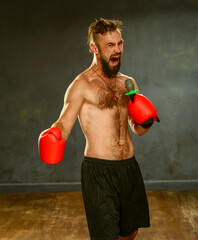 Fototapeta na wymiar boxer emotionally screams into the microphone. boxer with a beautiful torso and beard in red gloves on a gray background in the studio
