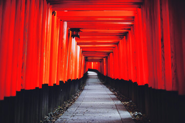 Fototapeta premium 伏見稲荷大社 京都府