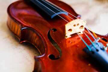 Image of violin, stringed instrument,classical music