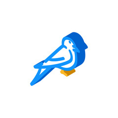 swift bird isometric icon vector. swift bird sign. isolated symbol illustration