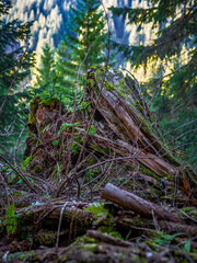 im Kleinwalsertal