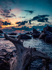 流木と朝焼け