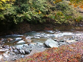 秋の小川
