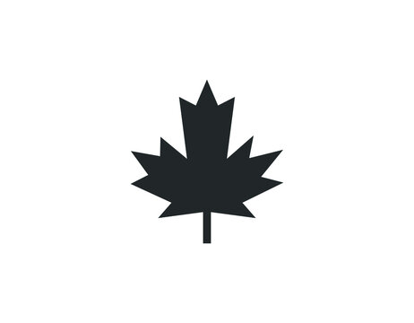 Maple leaf vector shape icon. Forest and wood symbol sign. Nature tree logo. Canada label.