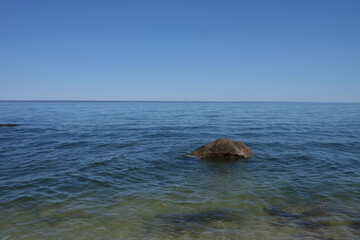 Fototapeta premium Rock by the beach with a clear sky