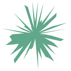 Ornament Shape Illustration