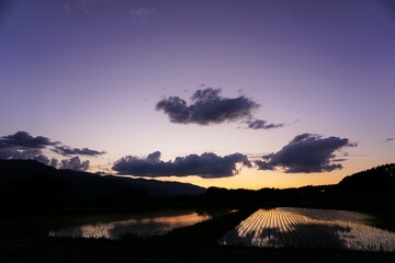 水面に映る夕日