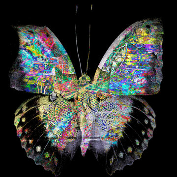 psychedelic butterfly background texture