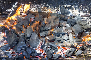 Preparation of fire on the coals for shish kebab in picnic.
