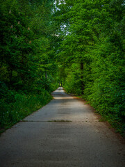 Fototapeta premium Rheinauen bei Rastatt