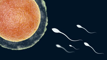 3d rendered illustration of bacteria