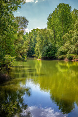 Rheinauen bei Rastatt