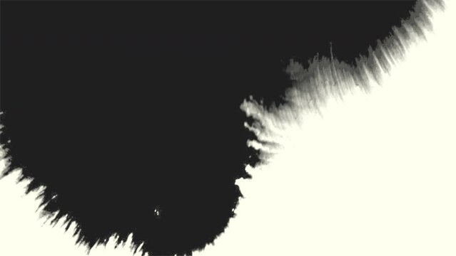 Splashing black and white paint brushes, motion abstract art and corporate style background