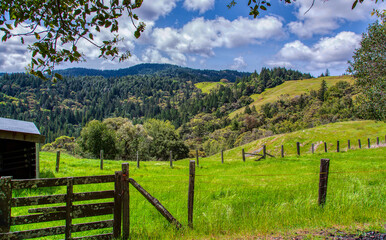 Fototapeta na wymiar Fenced pasture in the mountains