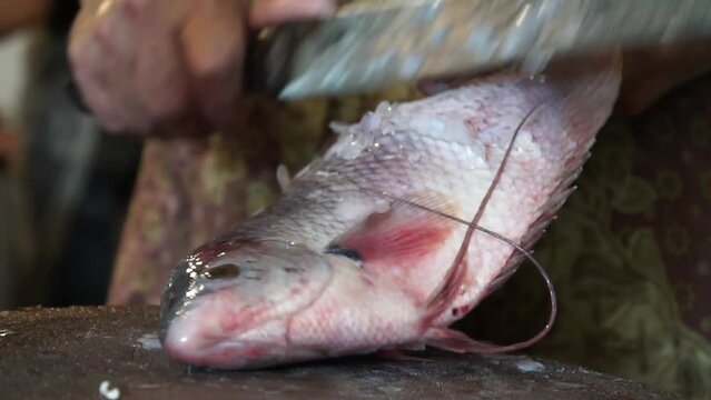 Cut the fish meat in slow motion.
