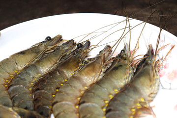 raw shrimp stock on market for sell