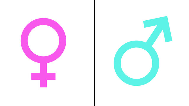 illustration of female and male symbols