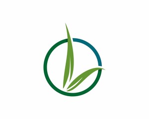 Logo leaf on circle vector
