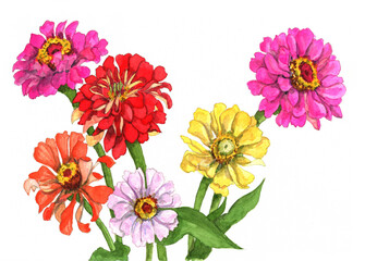 花の絵／ジニア。花の表情を華やかにかわいく素敵に表現した水彩画です。花好きな一人の作家による作品集です。